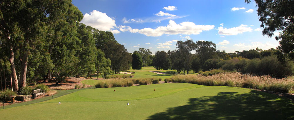 Concord_14TeeWidestPano_4581
